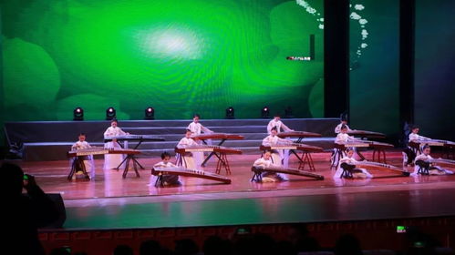 上饒廣播電視臺(tái)第六屆少兒春晚節(jié)目選送單位展示 御雅國樂館